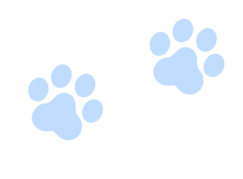 2pattes_chats